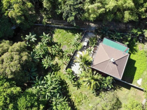 A Spacious and Serene Fully-Furnished Home